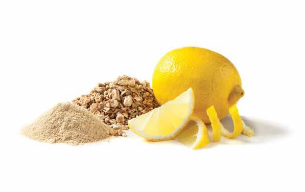 MicroDried® Lemon Fragments and Lemon Powder