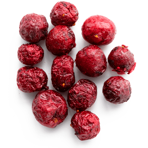 MicroDried dried ingredients cranberries