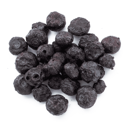 MicroDried dried ingredients jumbo blueberry